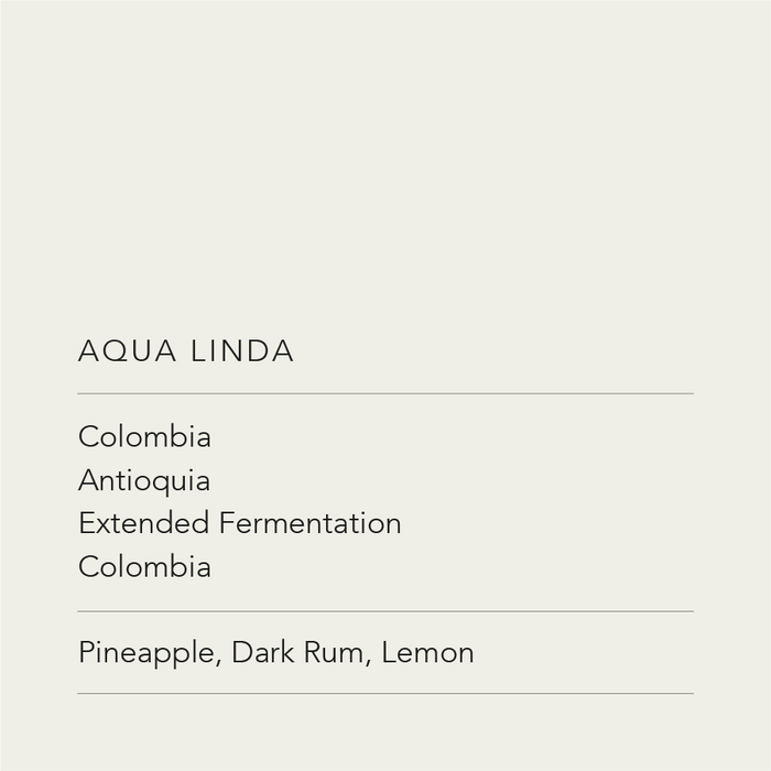 Aqua Linda