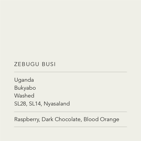 Zebugu Busi